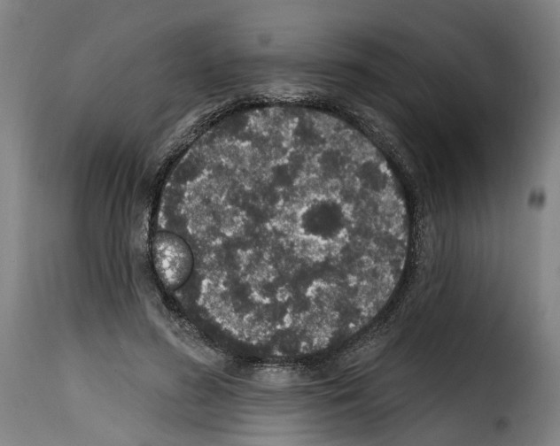 X0000114200596200911201002