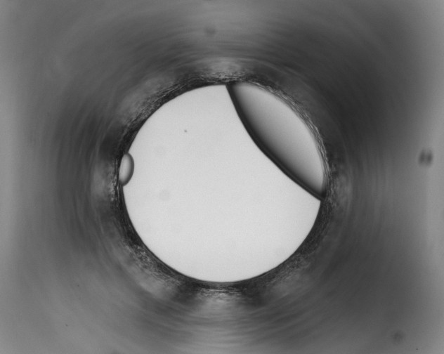 X0000114200597200911201002