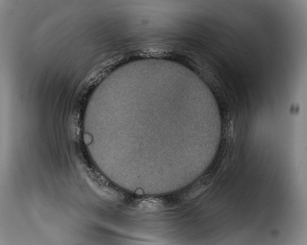 X0000114200599200911201002