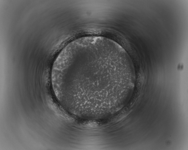 X0000114200600200911201002