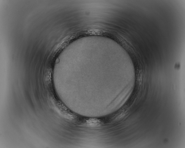 X0000114200603200911201002