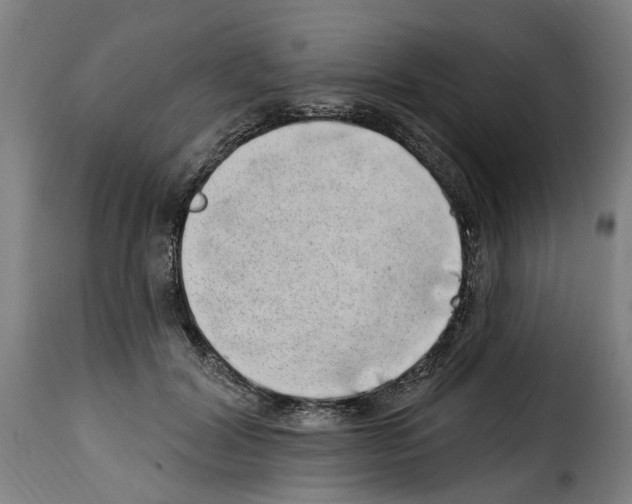 X0000114200604200911201002