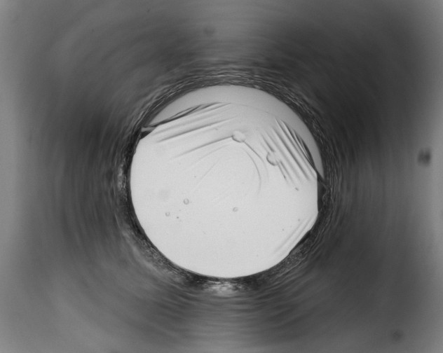 X0000114200611200911201001