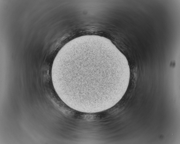 X0000114200615200911201001