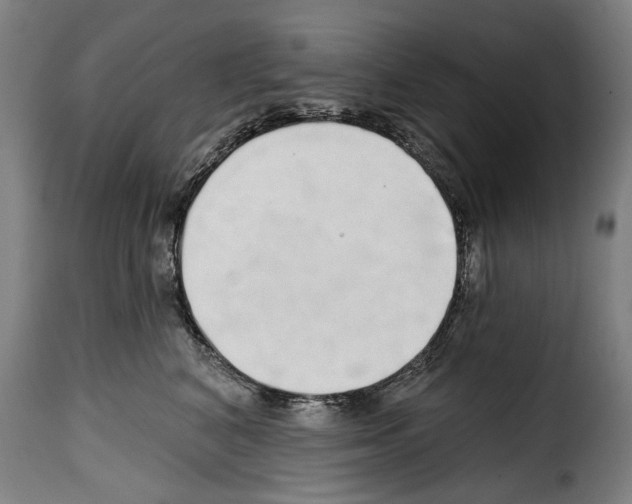 X0000114200616200911201001