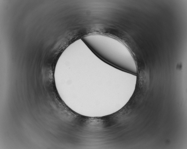 X0000114200617200911201001