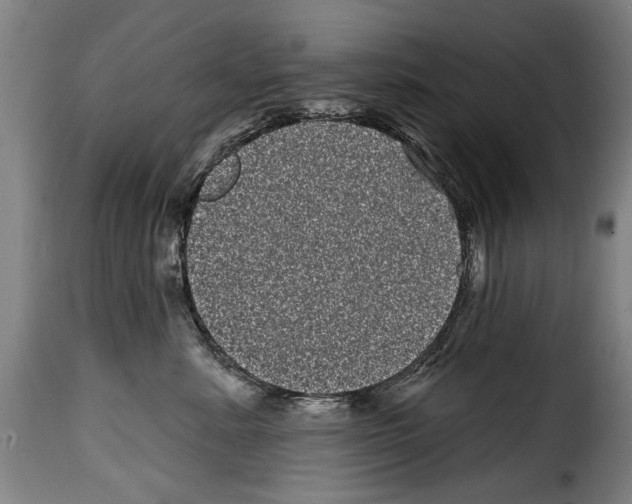 X0000114200619200911201001