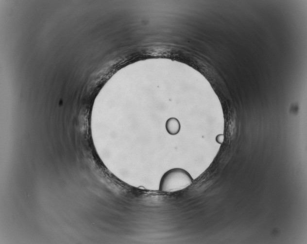 X0000114200620200911201001