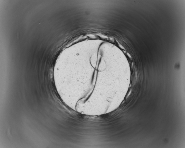 X0000114200621200911201001