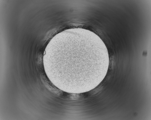 X0000114200623200911201001