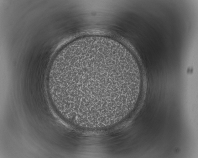 X0000114200625200911201000