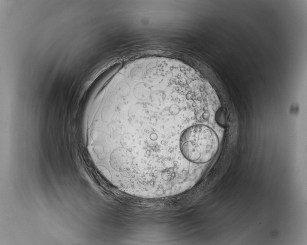 X0000114200626200911201000