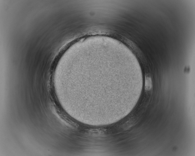 X0000114200627200911201000