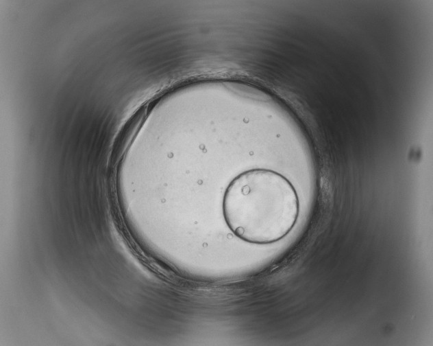 X0000114200630200911201000