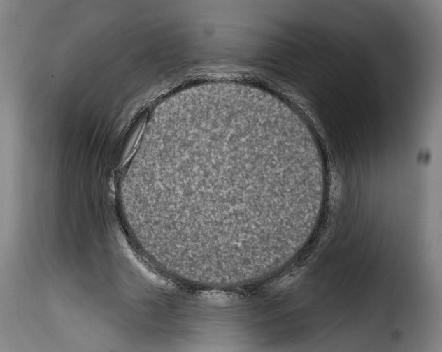 X0000114200633200911201000