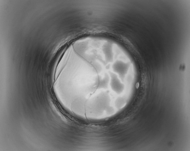 X0000114200634200911201000