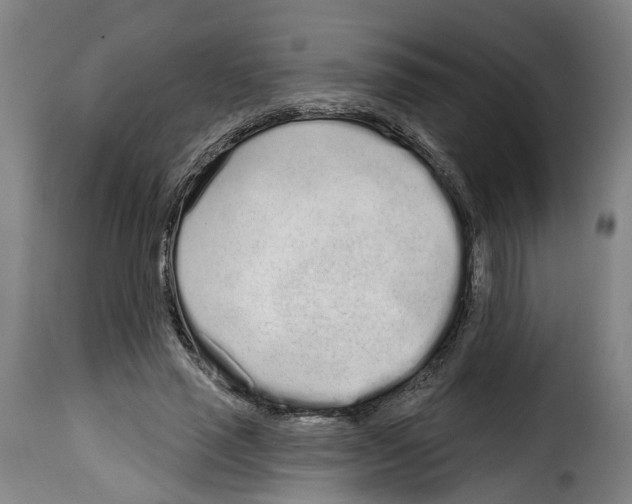 X0000114200637200911201000