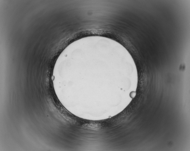 X0000114200639200911201000