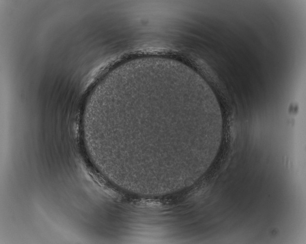 X0000114200640200911201001