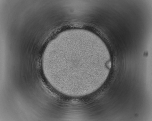 X0000114200641200911201001