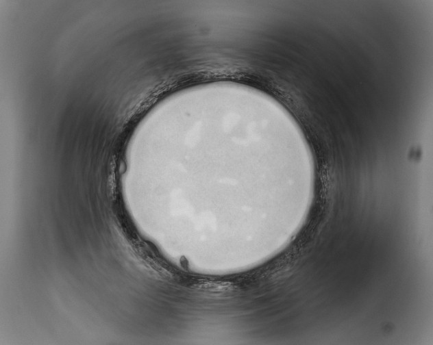 X0000114200642200911201001