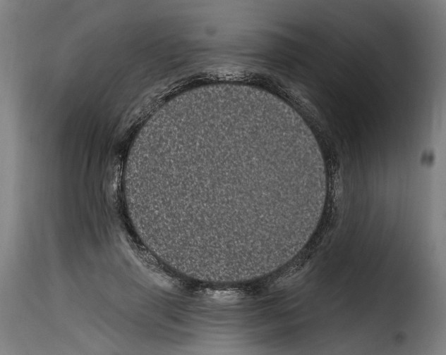 X0000114200645200911201001