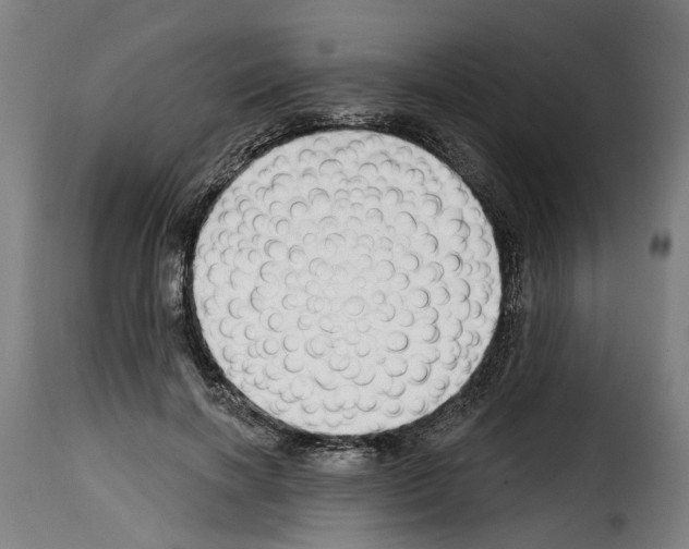 X0000114200646200911201001