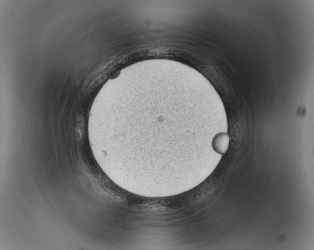 X0000114200648200911201001