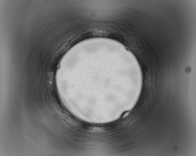 X0000114200649200911201001