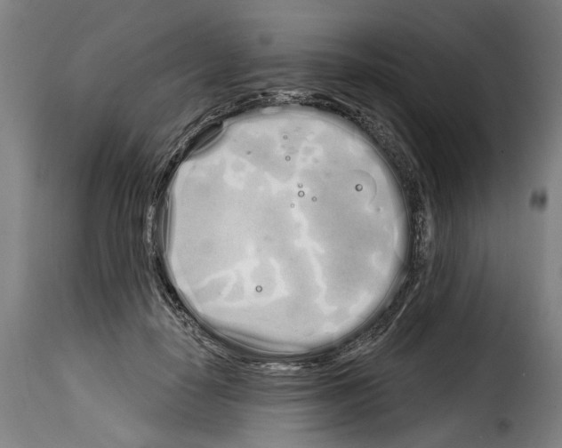 X0000114200650200911201001