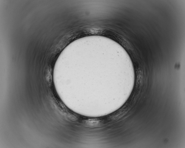 X0000114200651200911201001