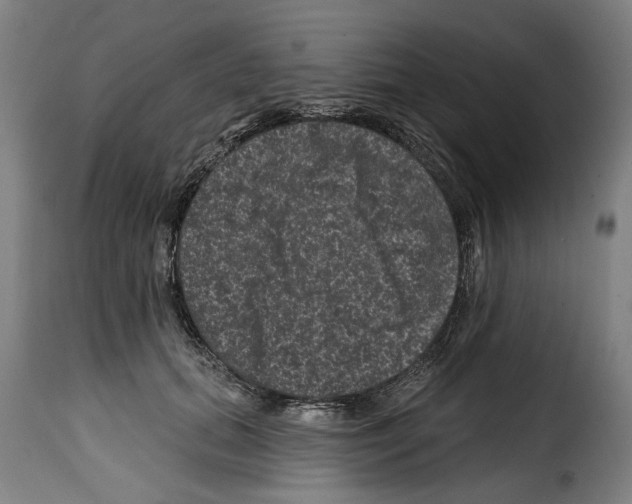 X0000114200655200911201001