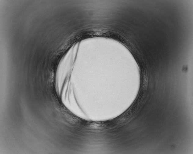 X0000114200657200911201001