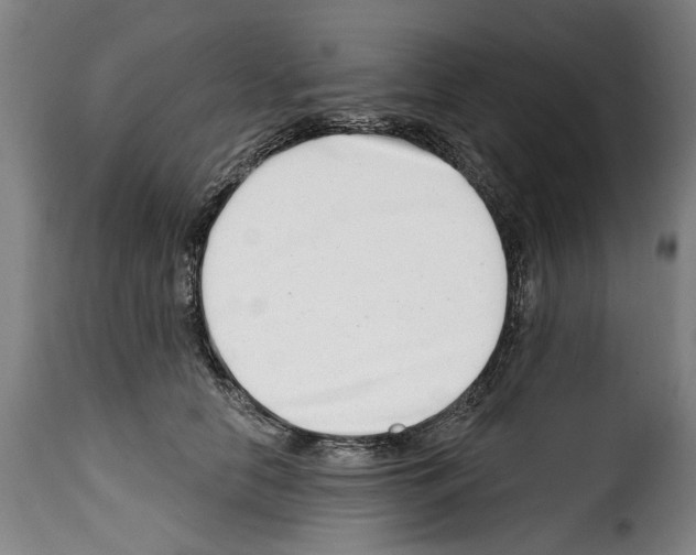 X0000114200658200911201001