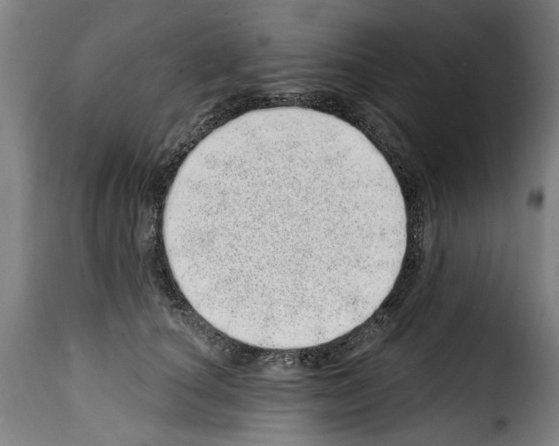 X0000114200660200911201001