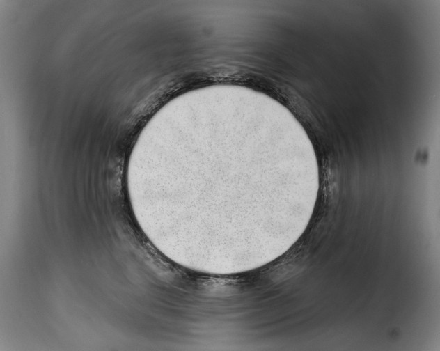 X0000114200664200911201001