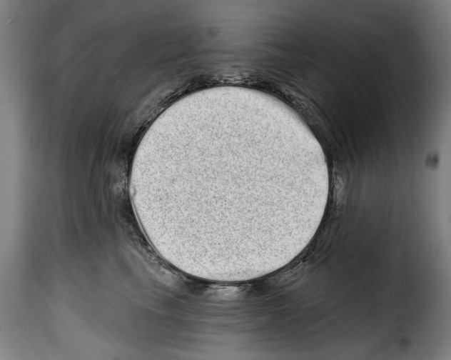 X0000114200665200911201001