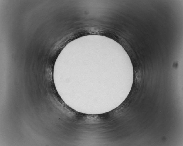 X0000114200666200911201001