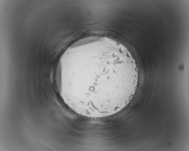 X0000114200668200911201001