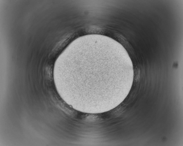 X0000114200669200911201001