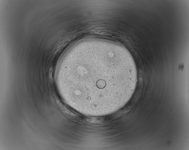 X0000114200670200911201001