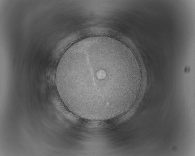 X0000114200672200911201001