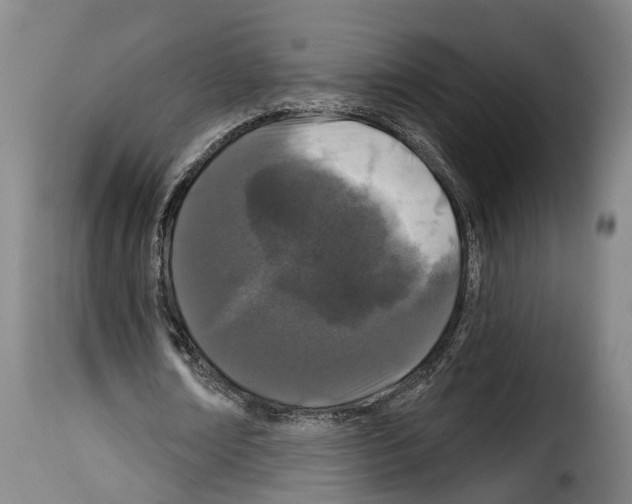 X0000114200674200911201000