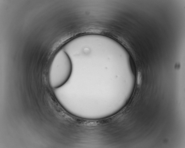 X0000114200675200911201000