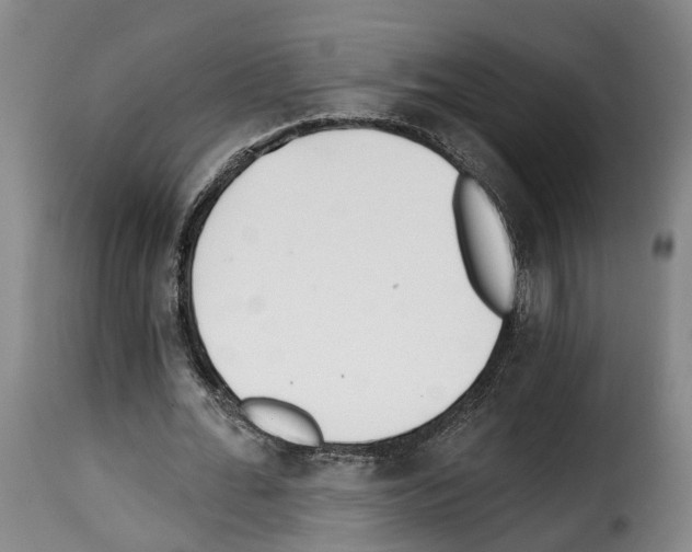 X0000114200676200911201000