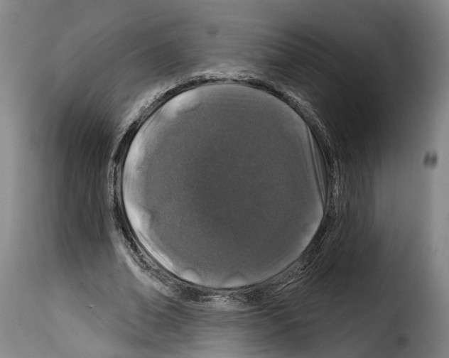 X0000114200678200911201000