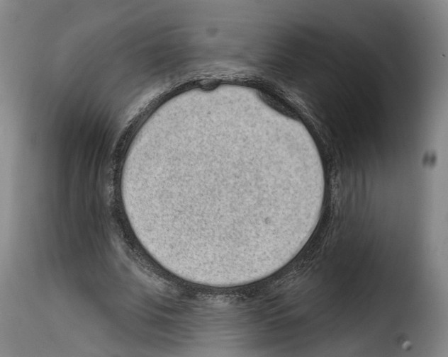 X0000114200679200911201000