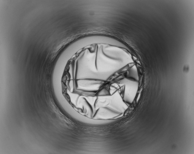 X0000114200681200911201000