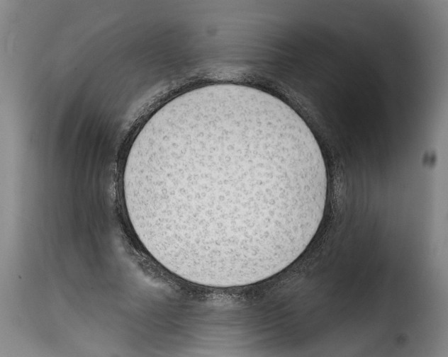 X0000114200682200911201000