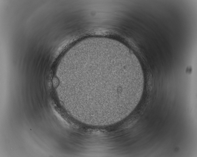 X0000114200683200911201000